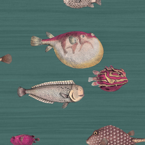 Cole & Son Wallpaper Tagged fish wallpaper