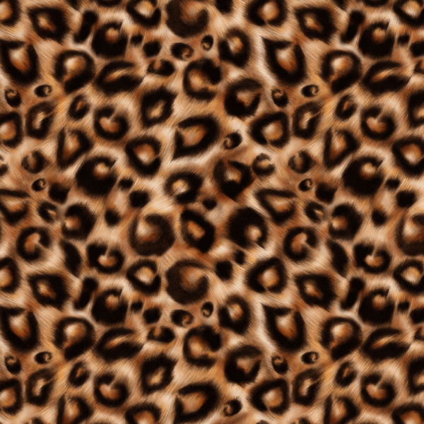 iPhone Wallpaper  Cheetah print wallpaper Animal print wallpaper Print  wallpaper